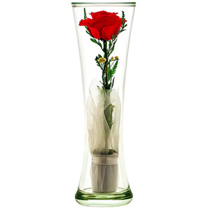 Цветы в стекле купить в казани цветы оптом в люберцах дешево со склада